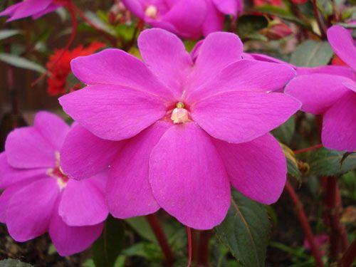 �����P��